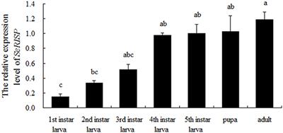 Silencing of Rieske Iron-Sulfur Protein Impacts Upon the Development and Reproduction of Spodoptera exigua by Regulating ATP Synthesis